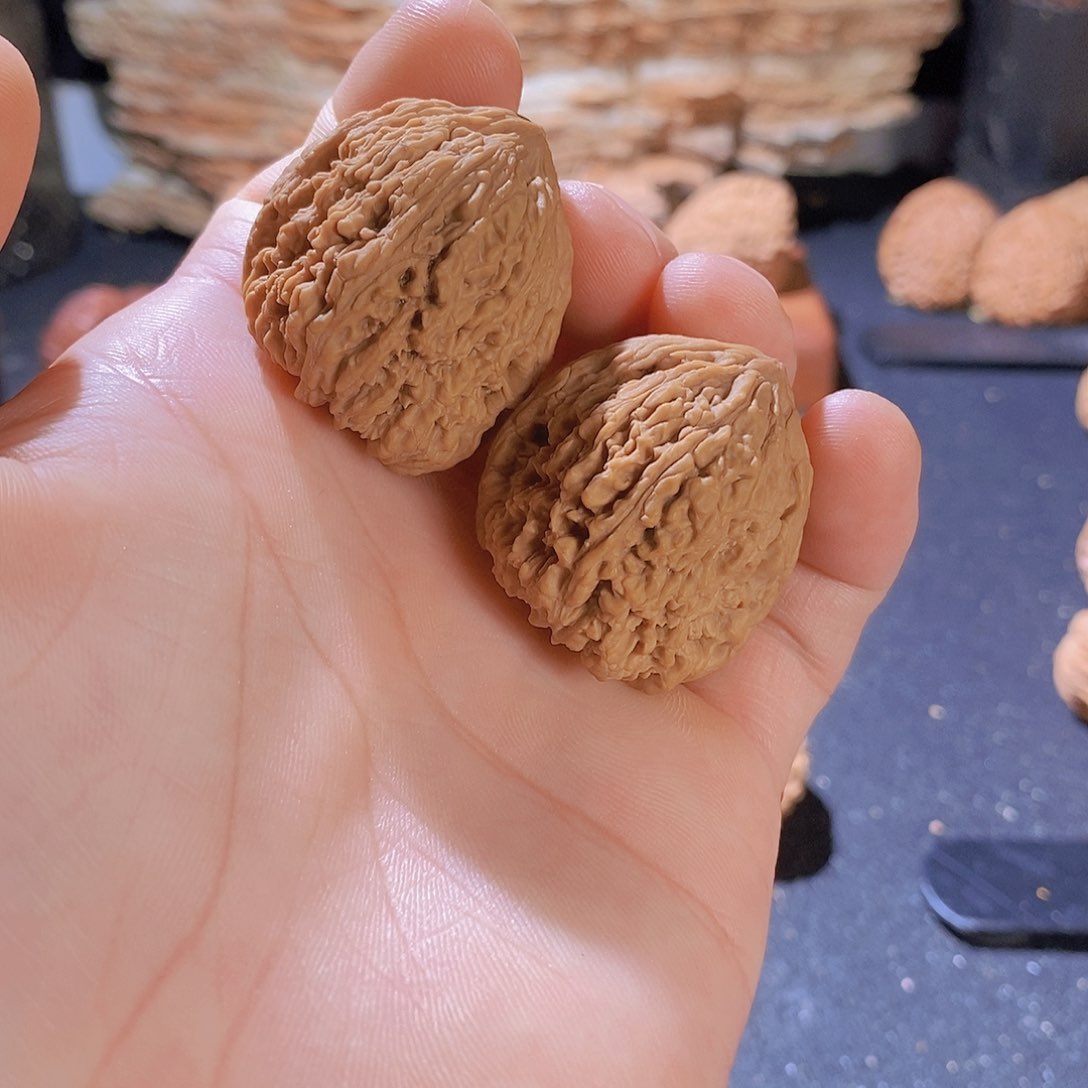 核桃其他赵**33全品拉丝南疆