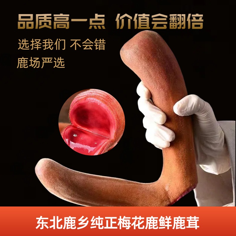 原产地滋补甄选鲜鹿茸