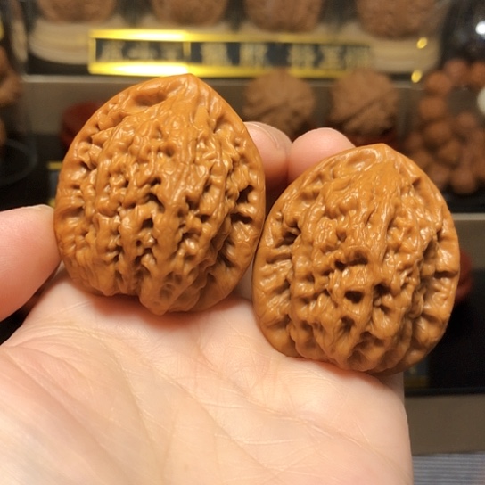 精品 原桩：金公子