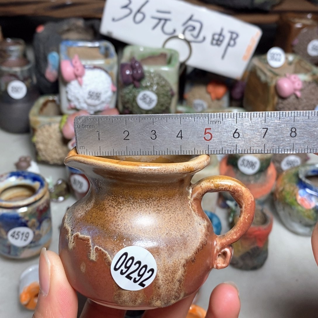 拍5送一个小礼物