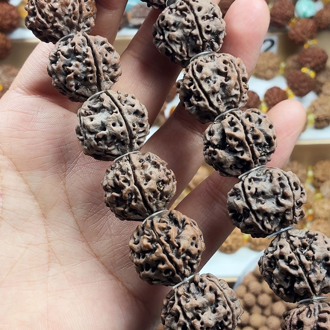 金刚菩提手串稀有精品梅花大粗筋大尺寸