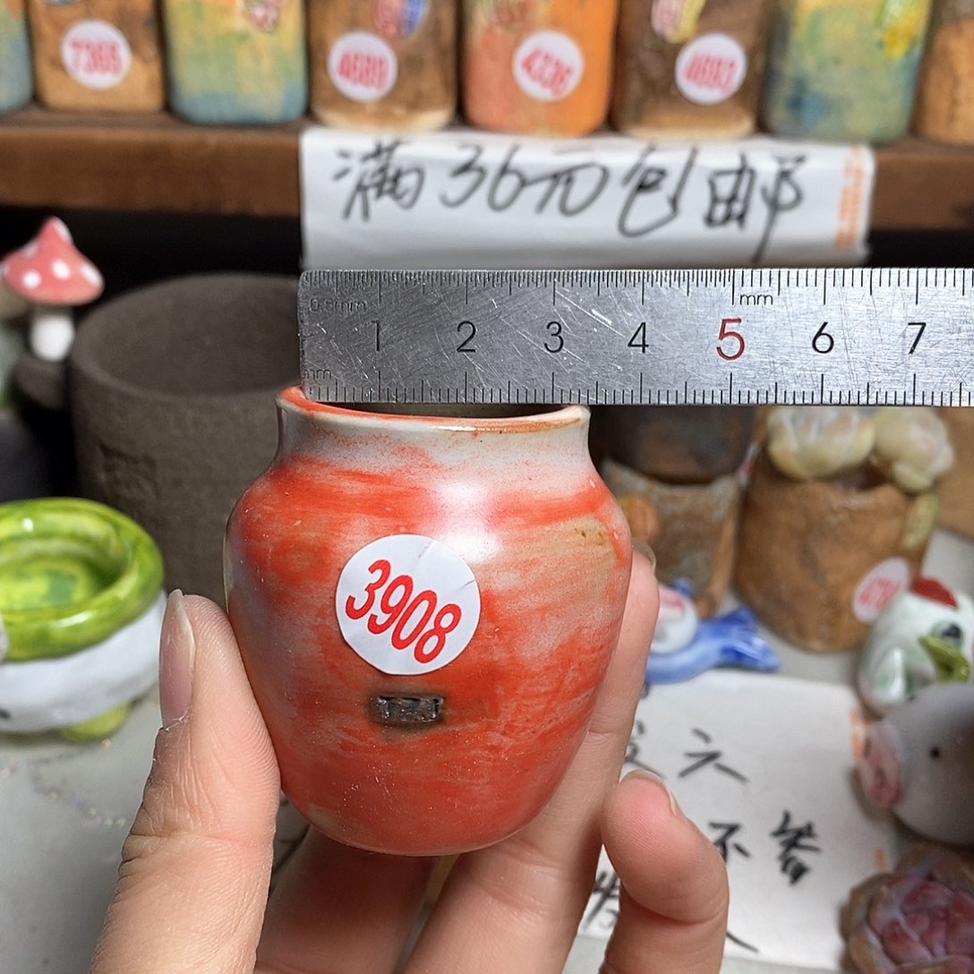 红陶拍5送一个小