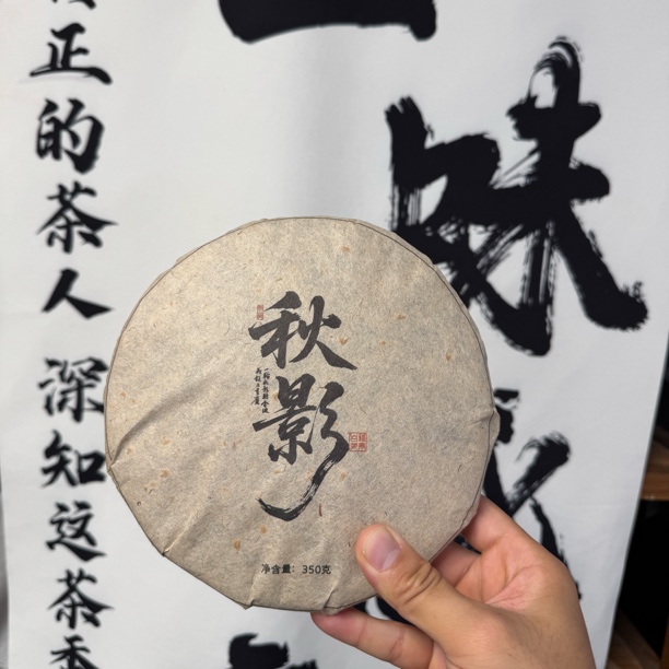 （秋影）宅创白茶福鼎白茶日晒紧压老寿眉茶饼350克