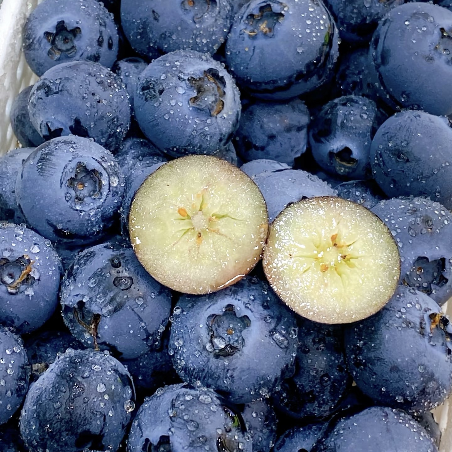 A1中果12mm+云南花香脆甜蓝莓应季新鲜水果顺丰京东冷链