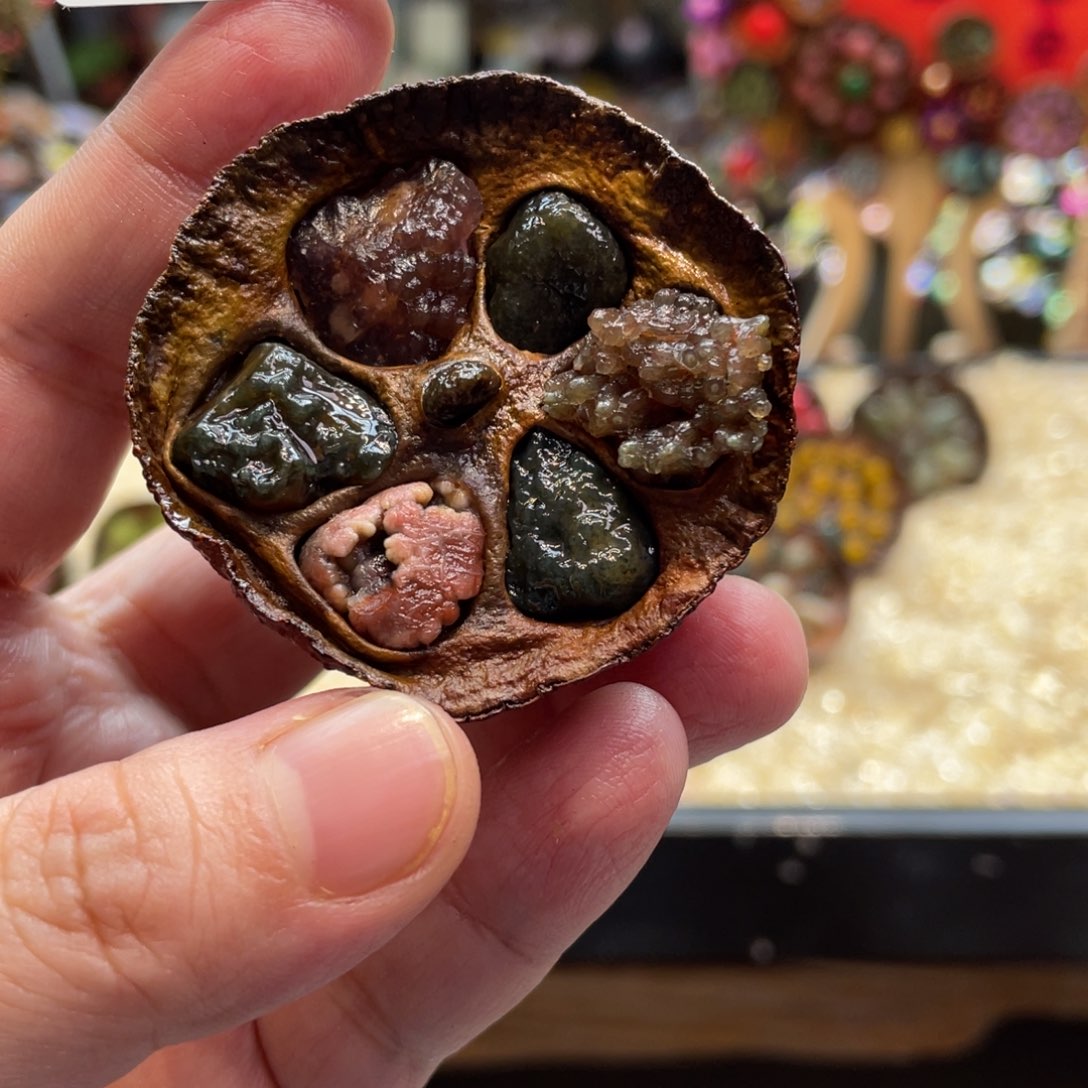 核桃木/黑胡桃（胡桃木）256