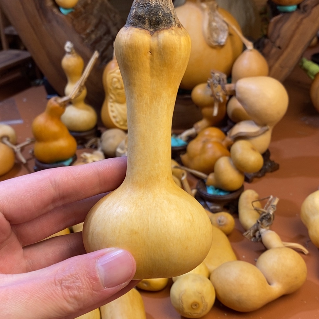 ****芦教练教练教练教练经理