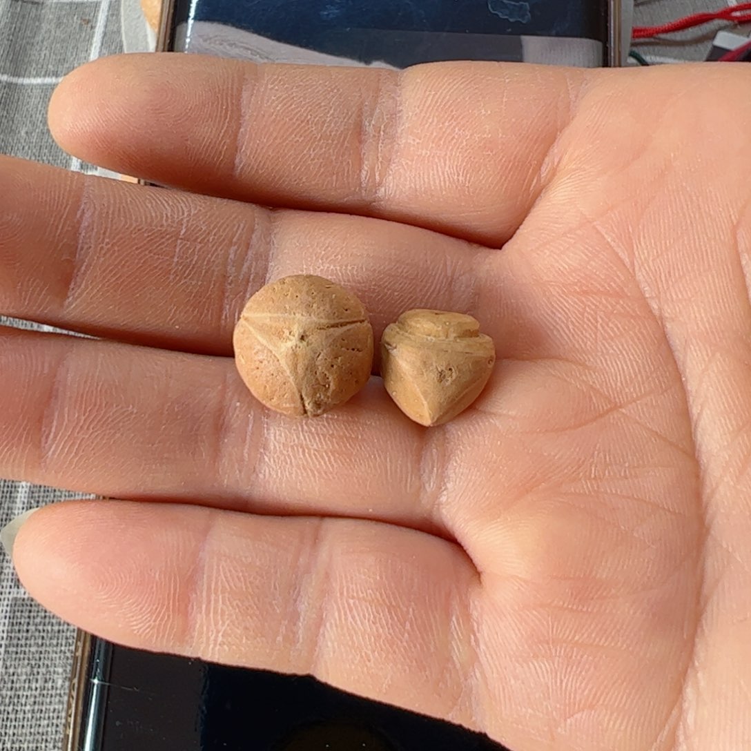 老***）凤眼菩提手串13龙眼11龙塔8@1866