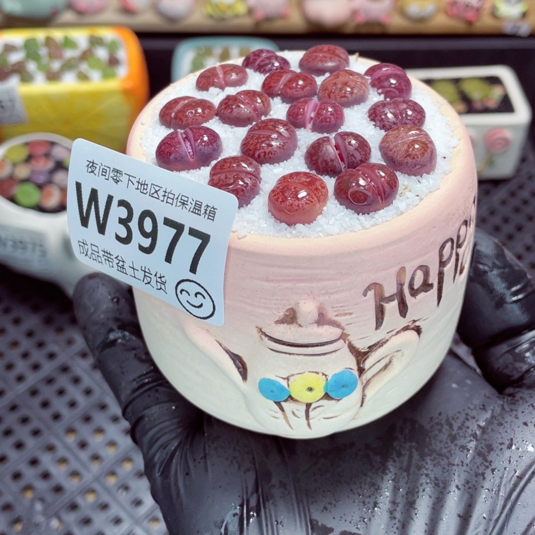 夜间零下地区拍保温箱w3977