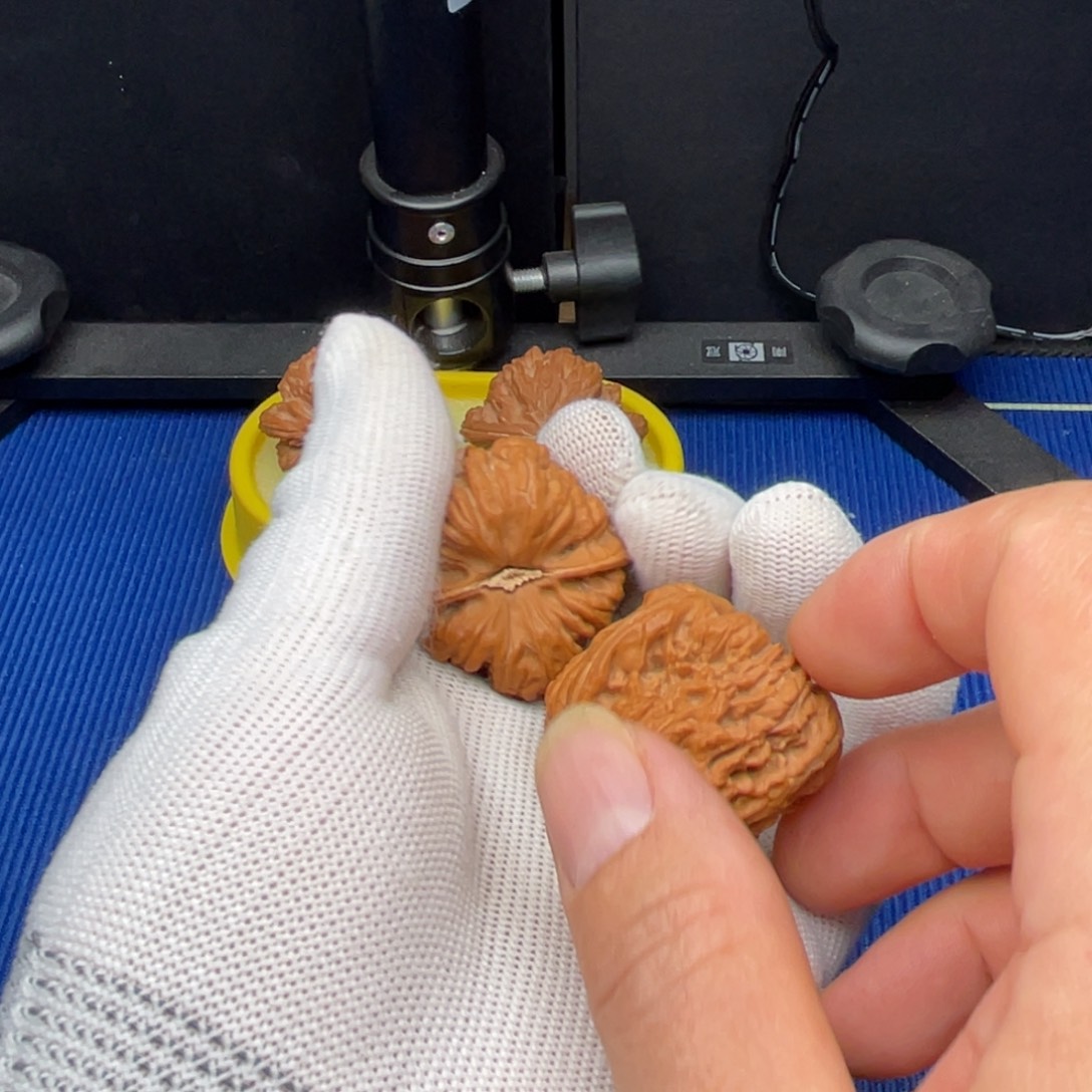 太***子文玩核桃把件平谷凹底