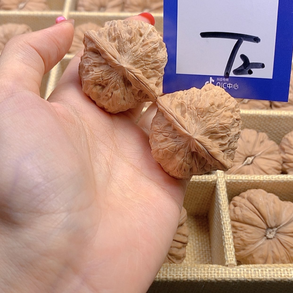 【闪购商品】把件文玩核桃文玩核桃南瓜2