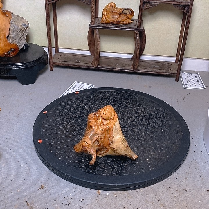 柏木（崖柏）一*太行大峡谷崖柏