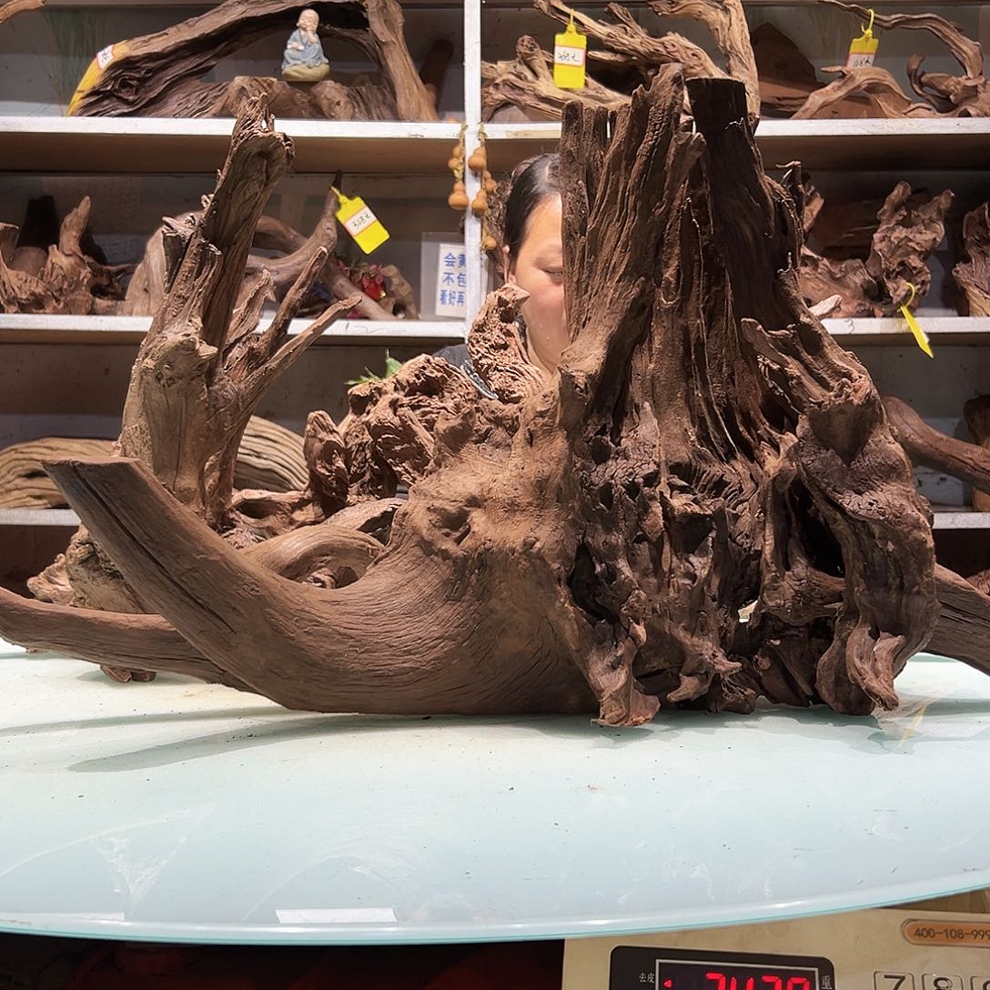 新***物紫砂紫柚沉木不包损不包秒沉介意慎拍6086打包10