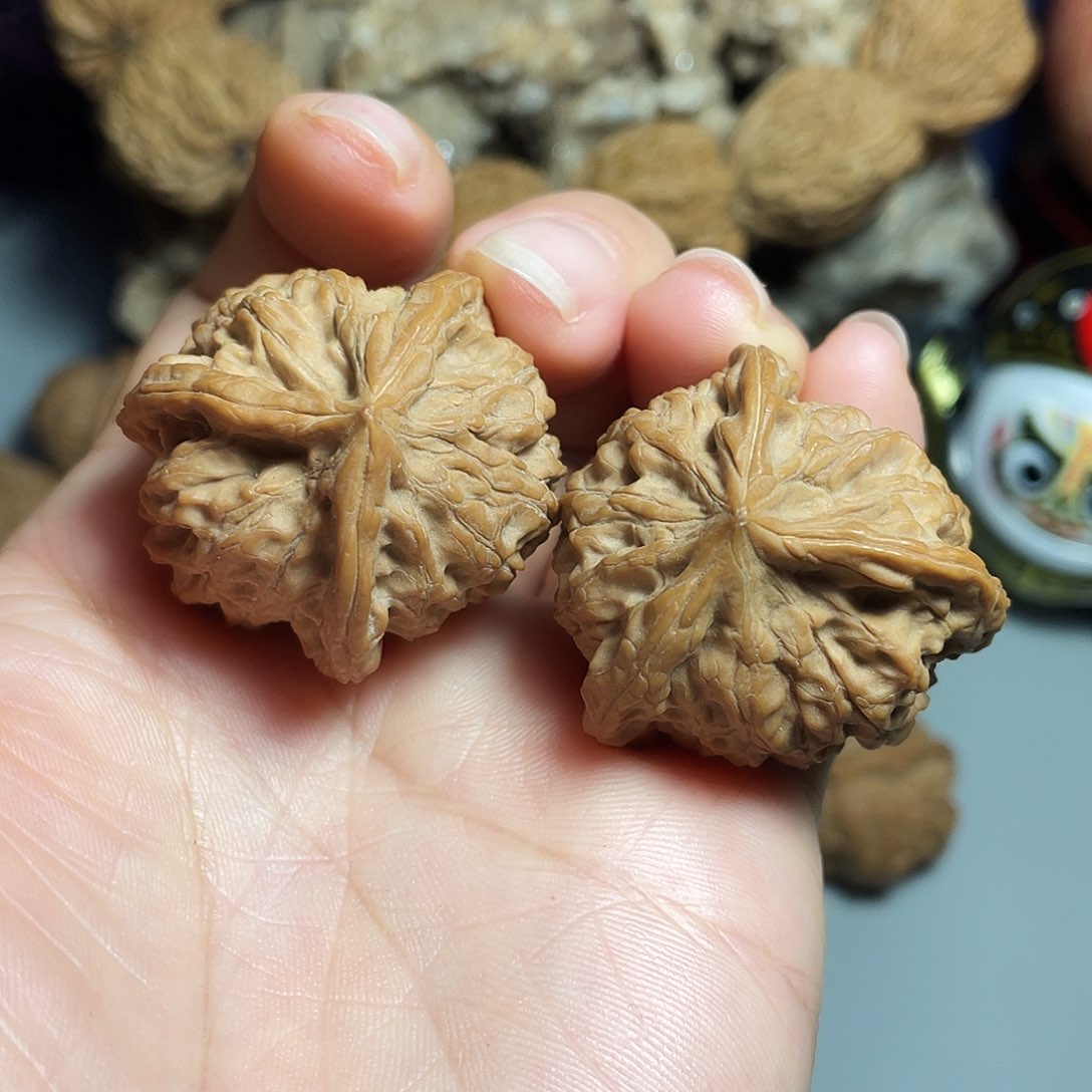 核桃手串/手链精品小众三楞