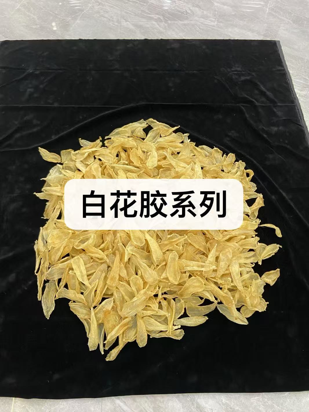 白花胶系列  印白本白 