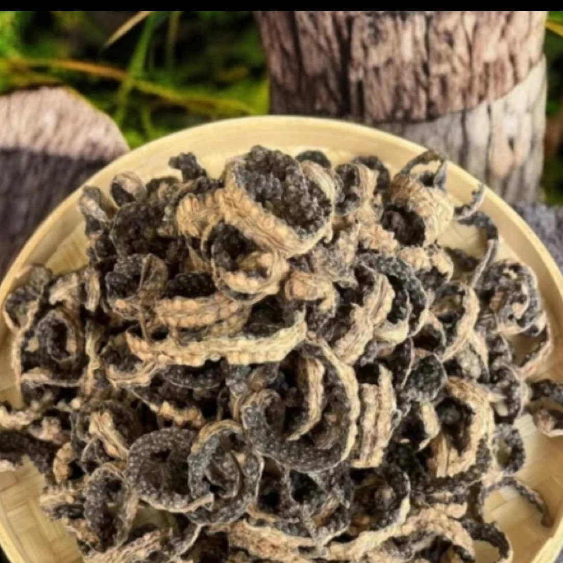 【村长严选】源自农家【消瘤藤】参茶