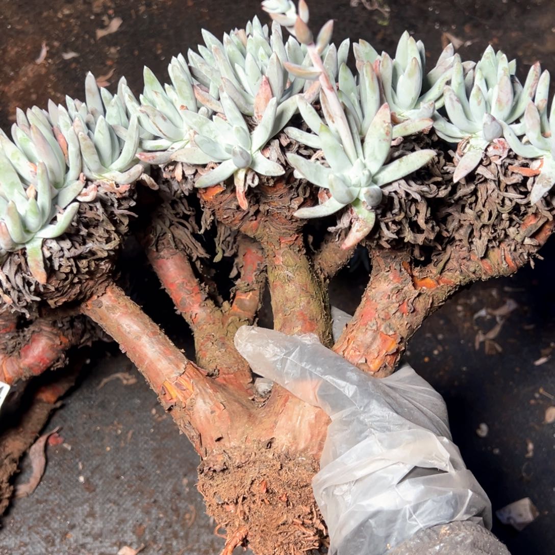 7195哈哈哈哈哈哈哈哈哈