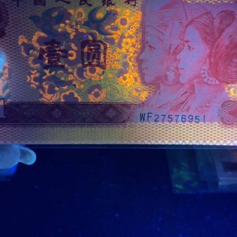 第四版金麟圣龙单张