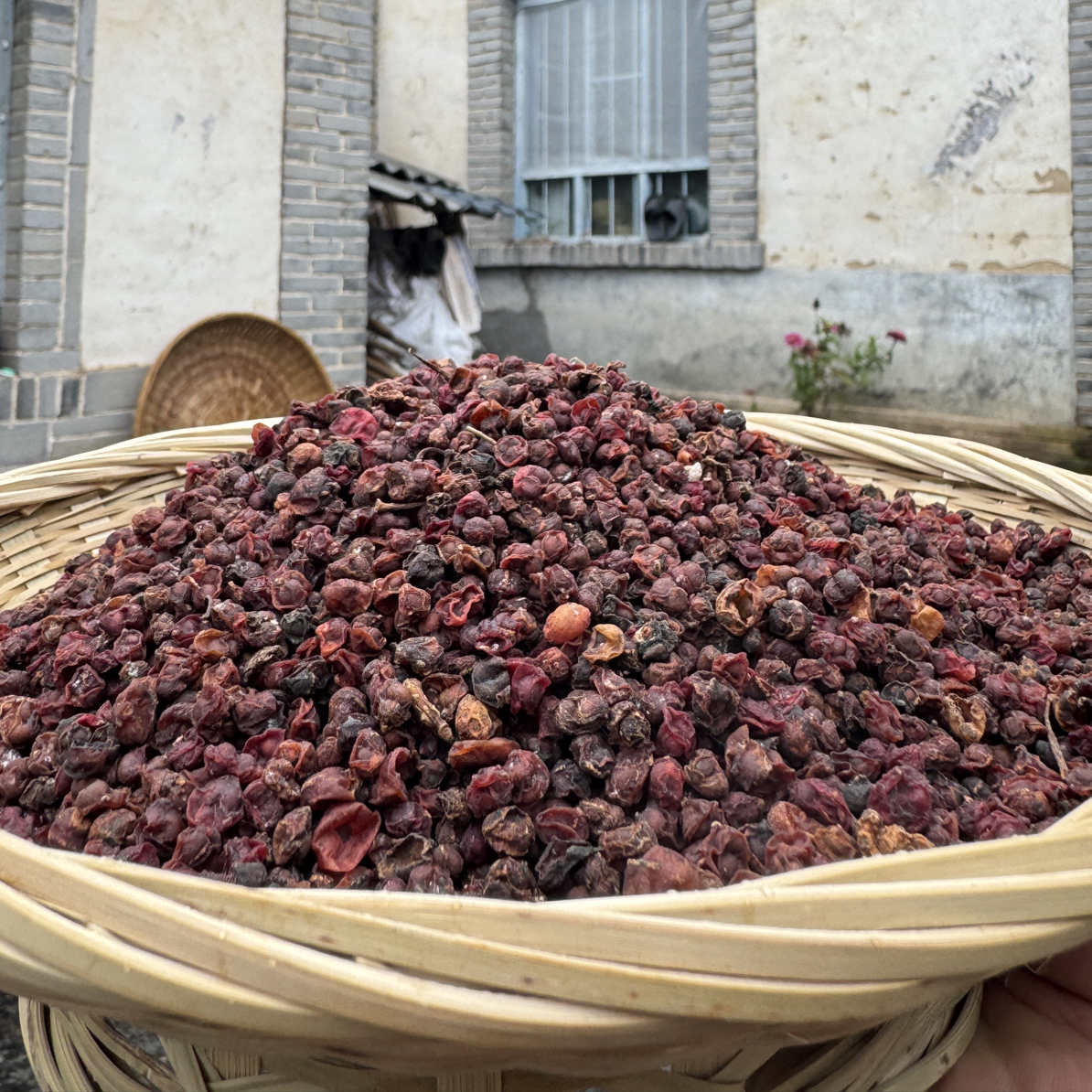 陇驰漫伏牛山深山纯野生五味子自采自然晾晒滋补佳品高山南五味子