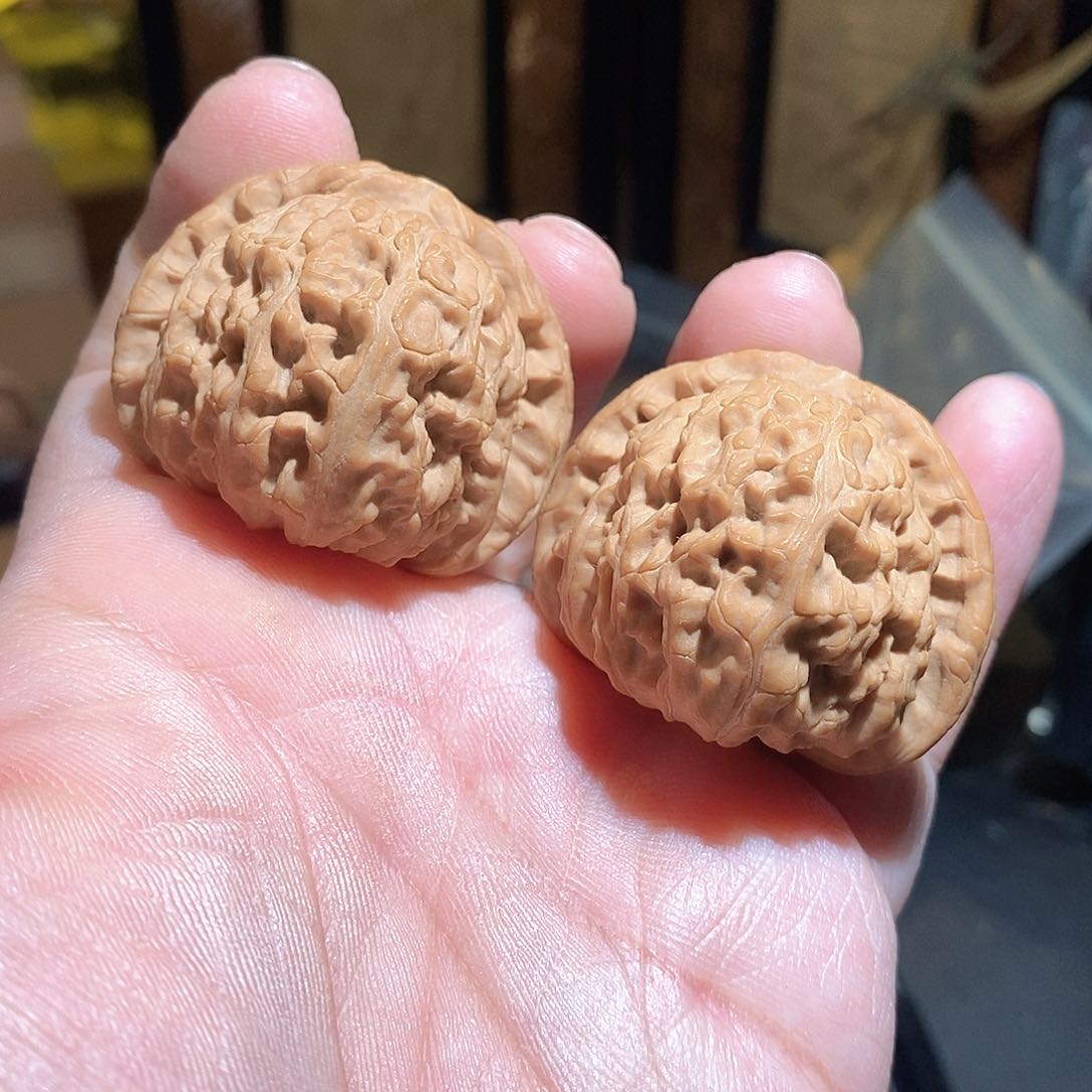 文玩核桃把件42白狮子全品