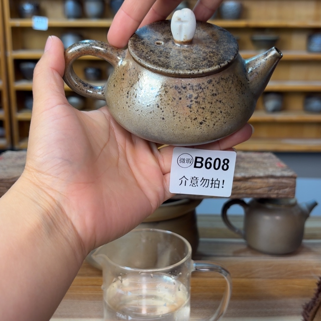 灵***志坭兴陶纯柴烧原矿泥料纯手工壶180毫升