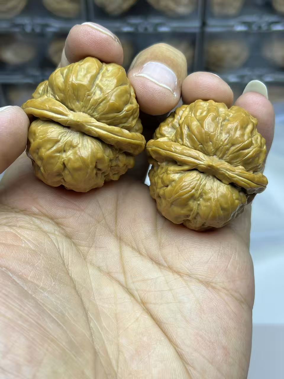 延庆老树金蟾蛤蟆头文玩核桃四座楼元宝白狮子