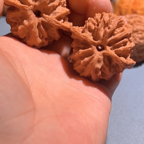 文玩核桃把件苹果圆42