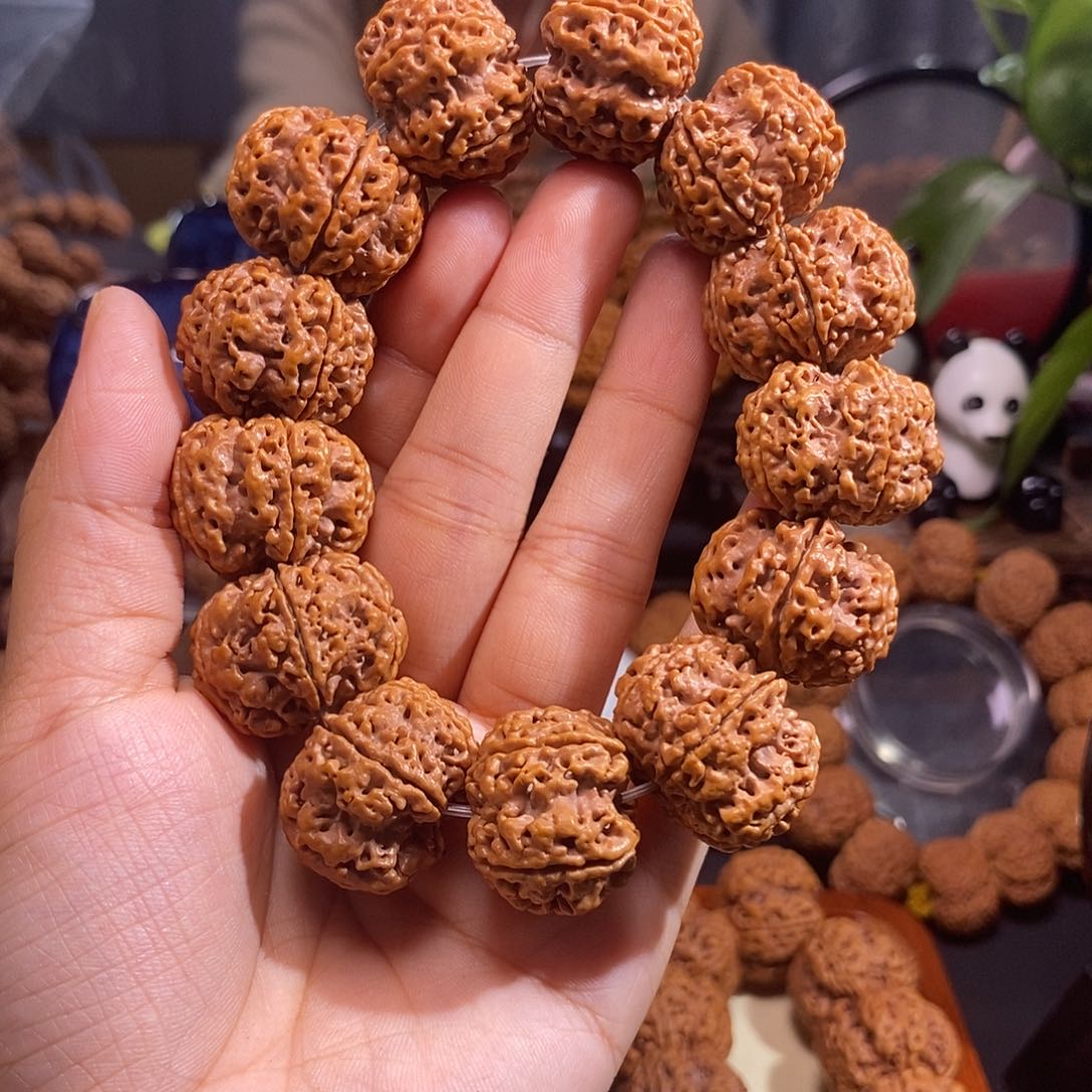 金刚菩提手串原生态粗筋双龙24mm