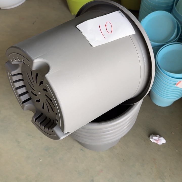 编号是10号的10号的