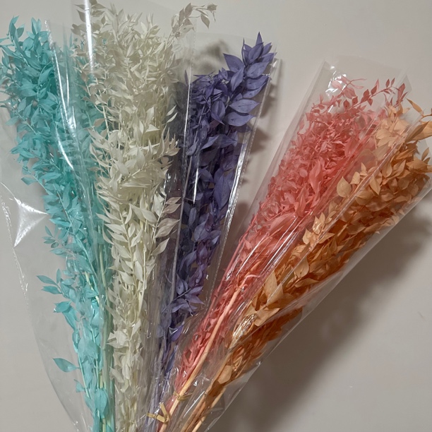 永生九星叶富贵叶网红花diy手工搭配材料樱花草干花
