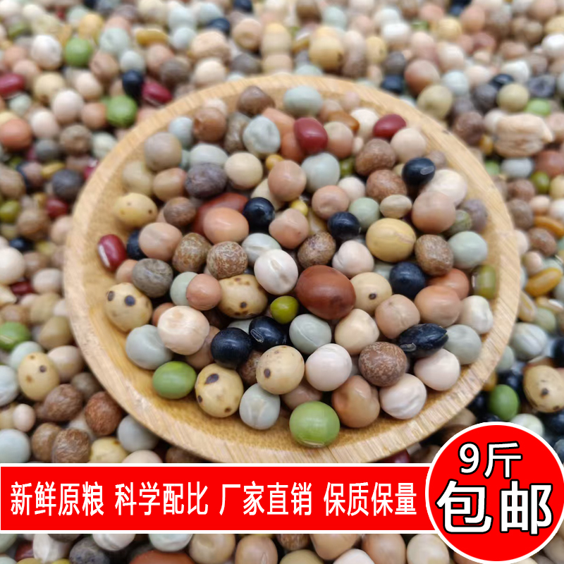 金冠鸽粮职业涨嗉撑嗉9斤大包装鸽子饲料信鸽赛鸽观赏鸽通用