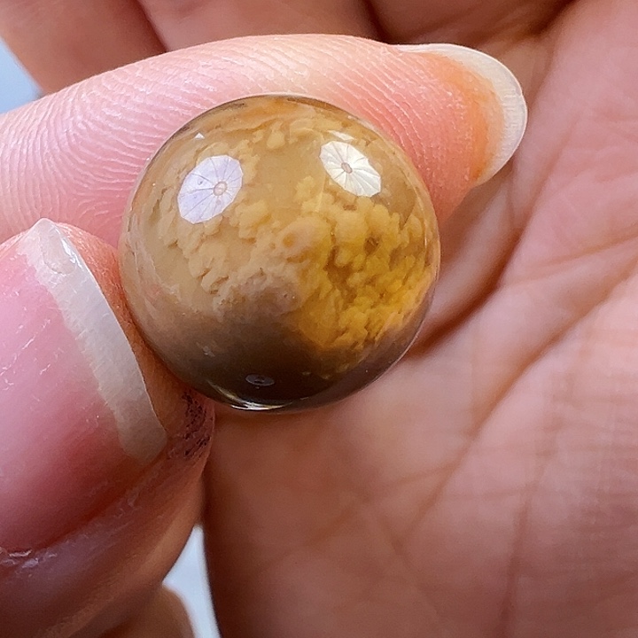 蜜蜡颈饰未镶嵌蜜蜡