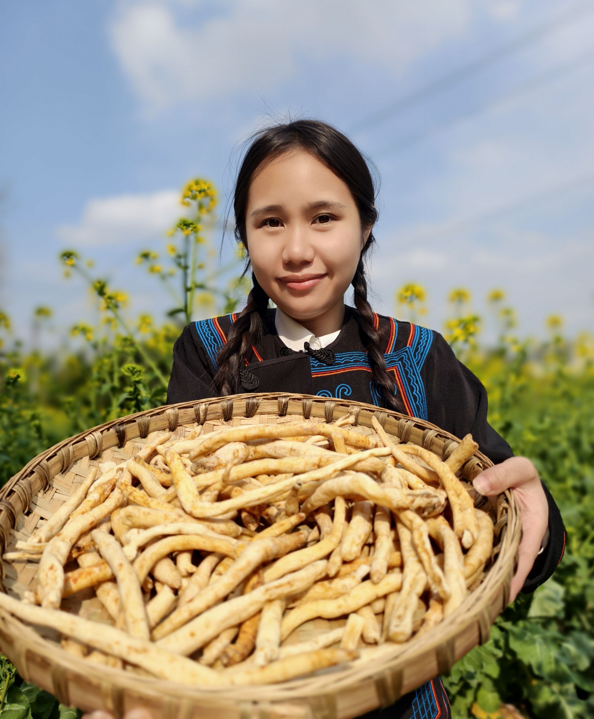 【野沙参】山货干货无硫沙参川明参  女神节限定 三宝 非百合干