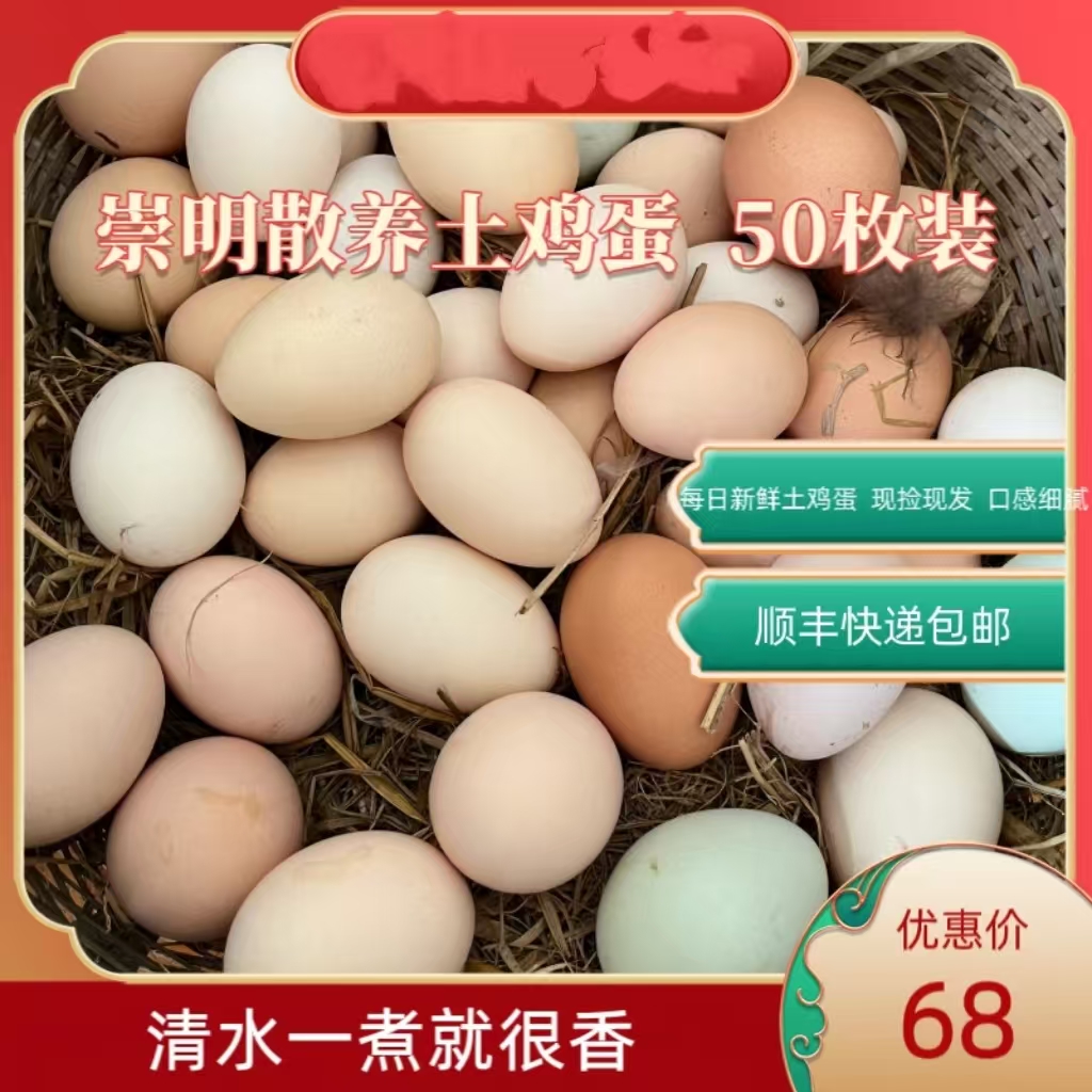 崇明散养土鸡蛋   一枚45g以上