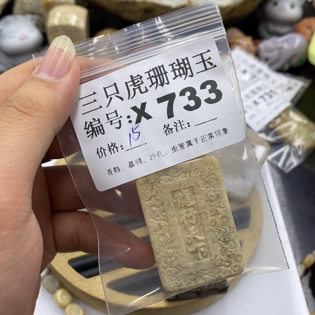 硅化珊瑚（珊瑚玉）1未镶嵌鱼