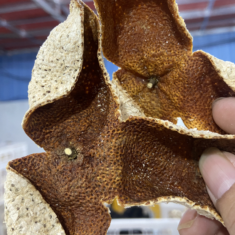 广西浦北2023年 大红皮又称茶枝柑 生晒 不苦不涩 