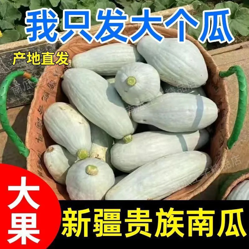 新疆沙湾贵族南瓜金丝栗瓜软糯香甜板栗味适合宝宝辅食