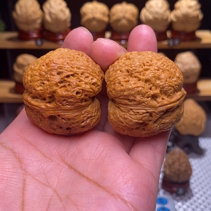 木质类云铁树皮元宝81号