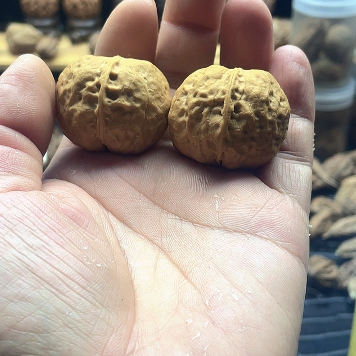 文玩核桃把件铁核桃福利