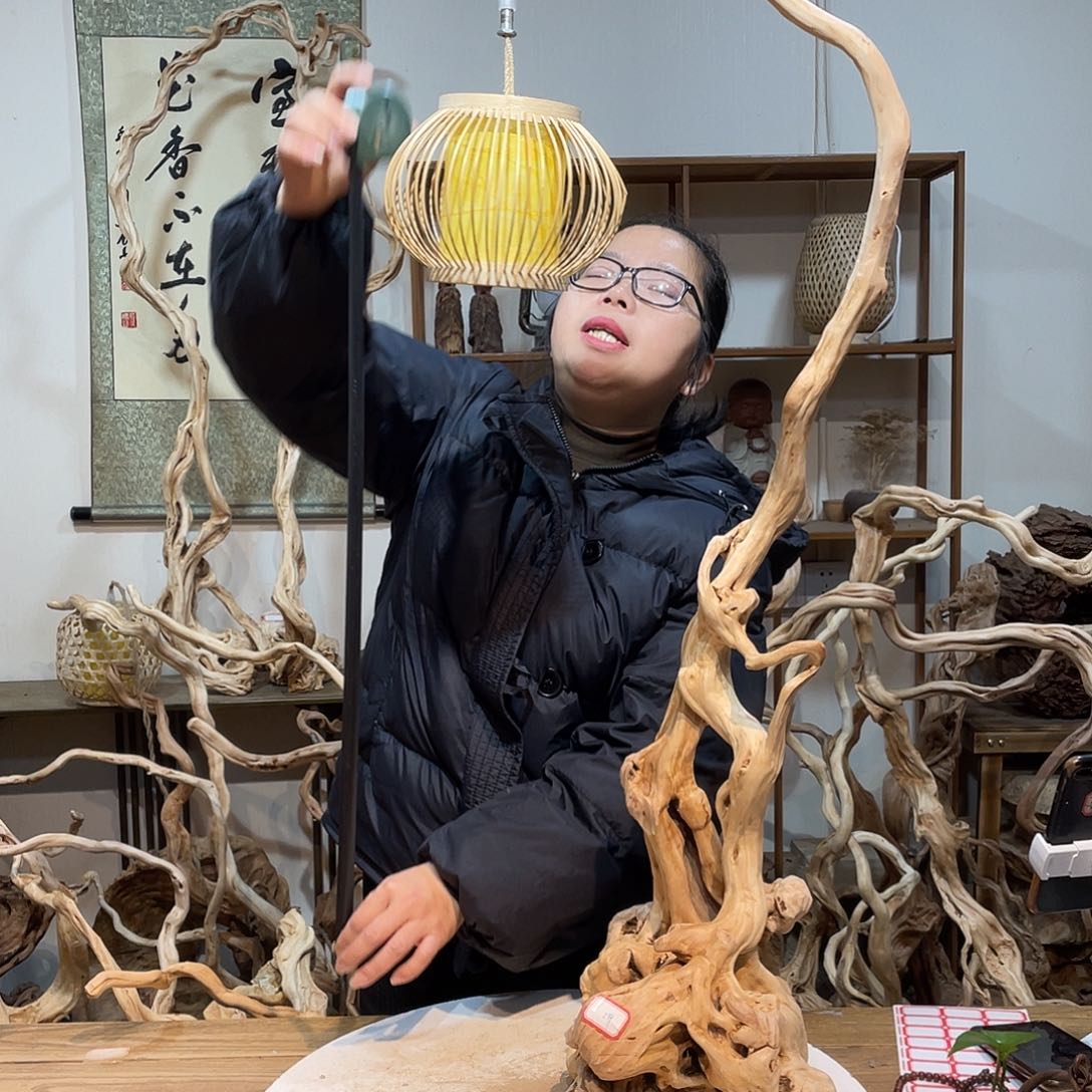 柏木杜鹃根根艺摆件