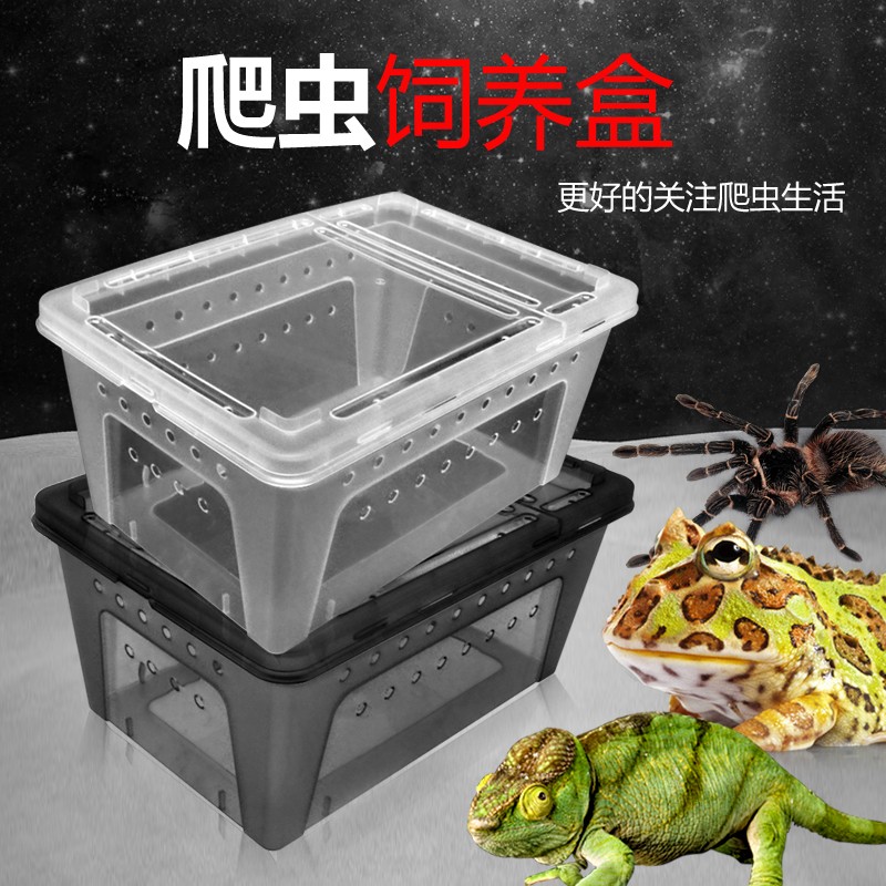 爬虫饲养盒透明可观赏蜘蛛角蛙繁殖盒昆虫宠物蜗牛蚕宝宝盒带盖
