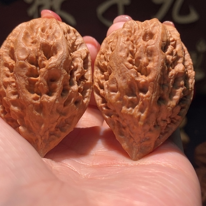 木质类聚核财婉楸38