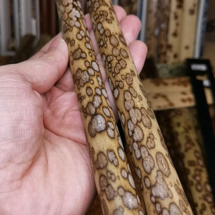 扇子梅鹿精品扇料