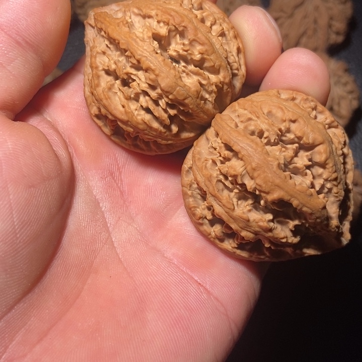 ****！把件文玩核桃秦岭野生文玩核桃