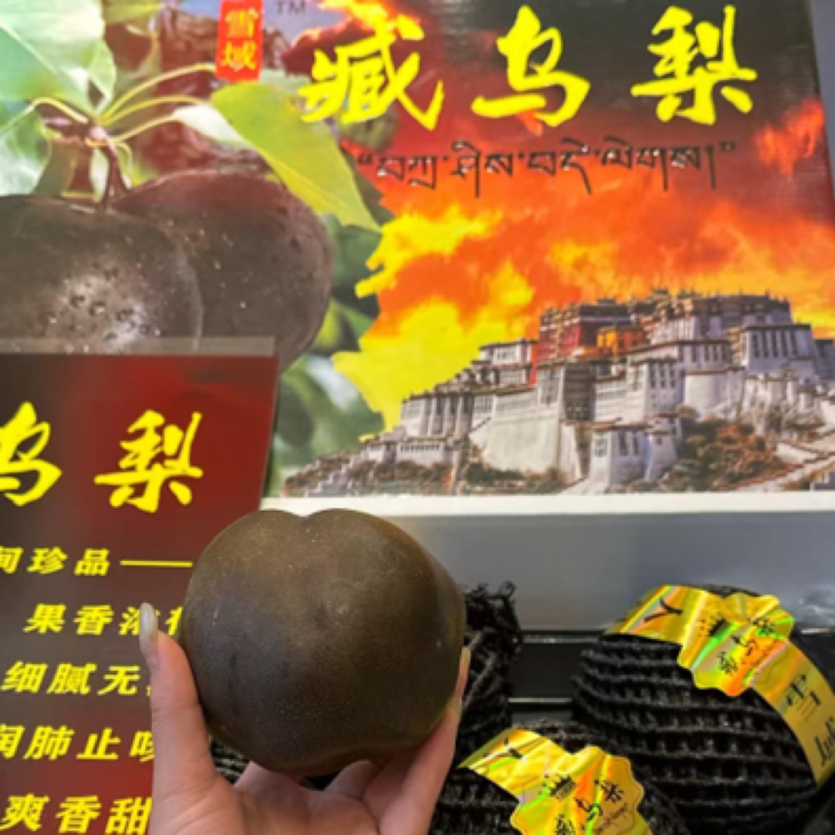 藏乌梨手提礼盒8粒装