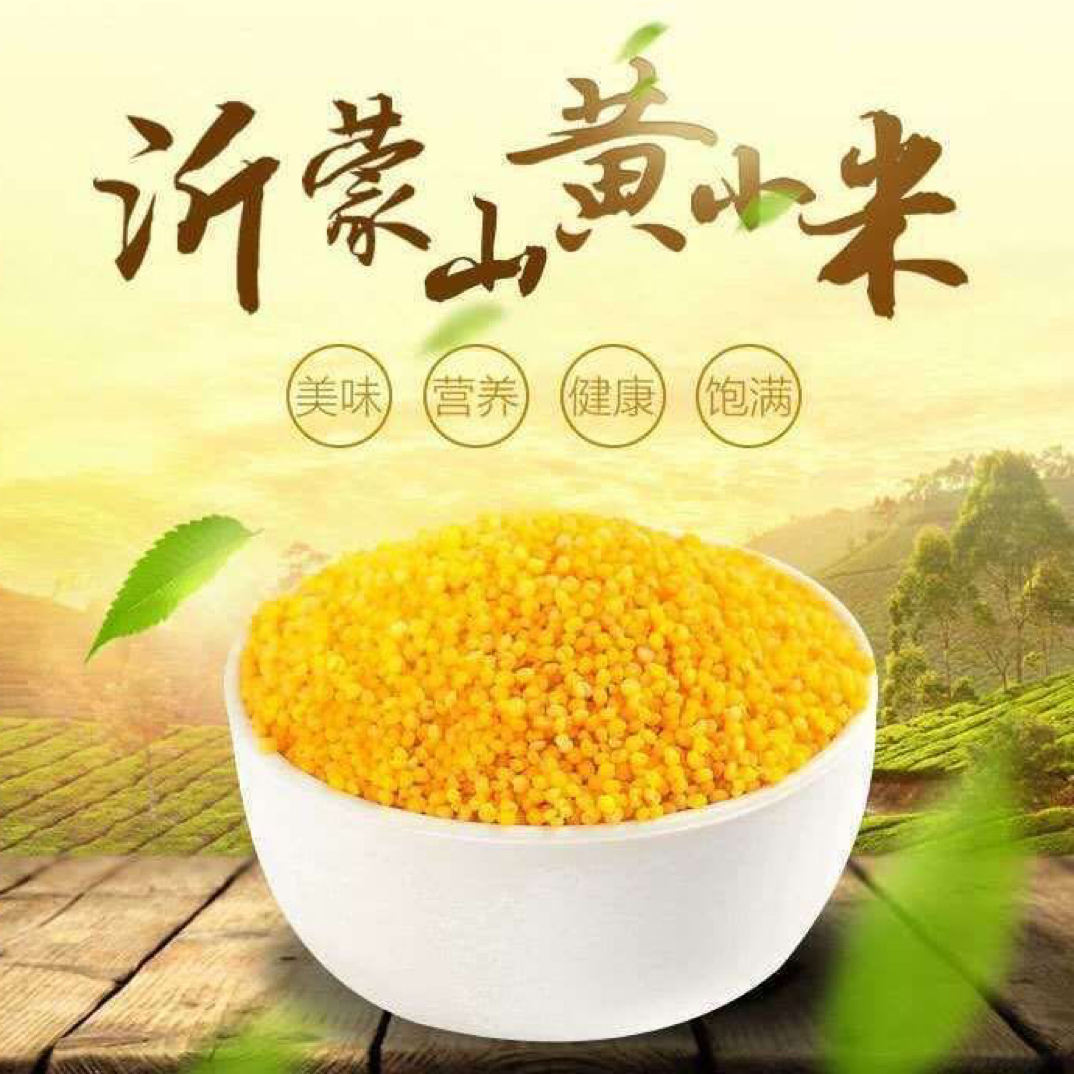 沂蒙山新小米营养丰富熬粥米油浓郁农家自产杂粮