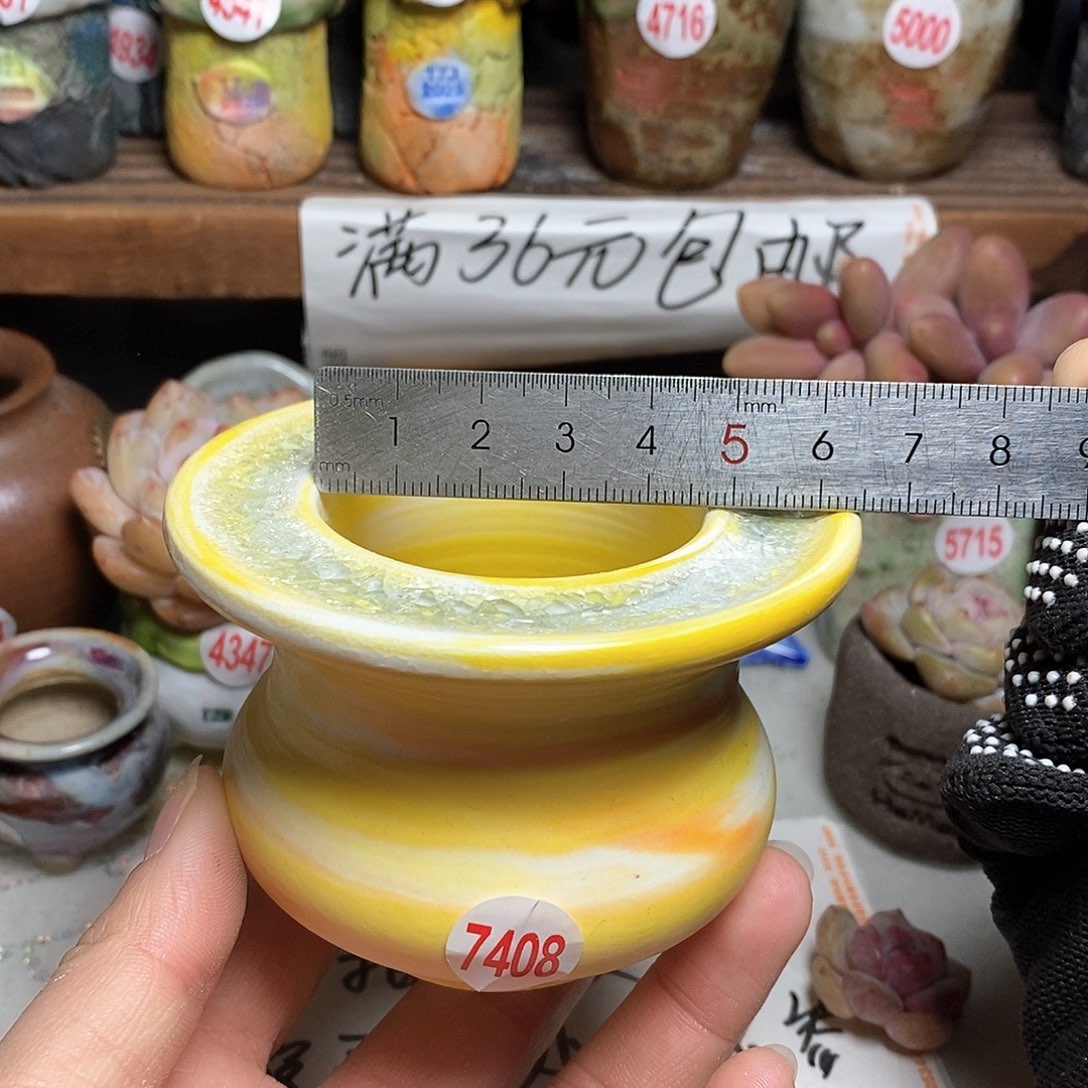 红陶拍5送一个小