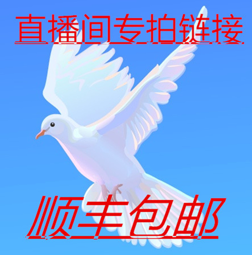 观赏鸽子直播间青年鸽幼鸽种鸽一鸽一讲解（一物一拍）