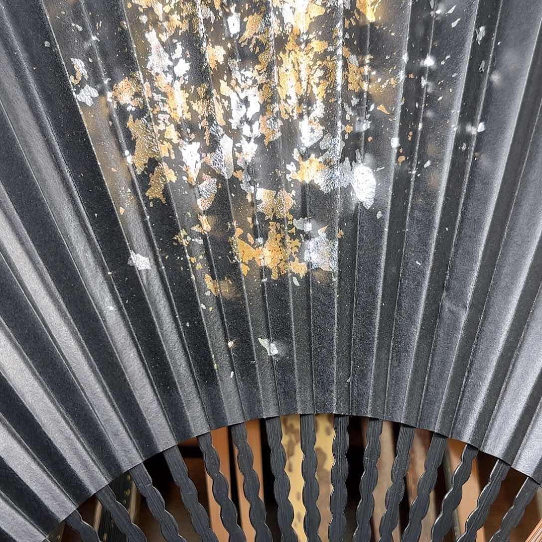 扇子爆炸金龙鳞棕竹