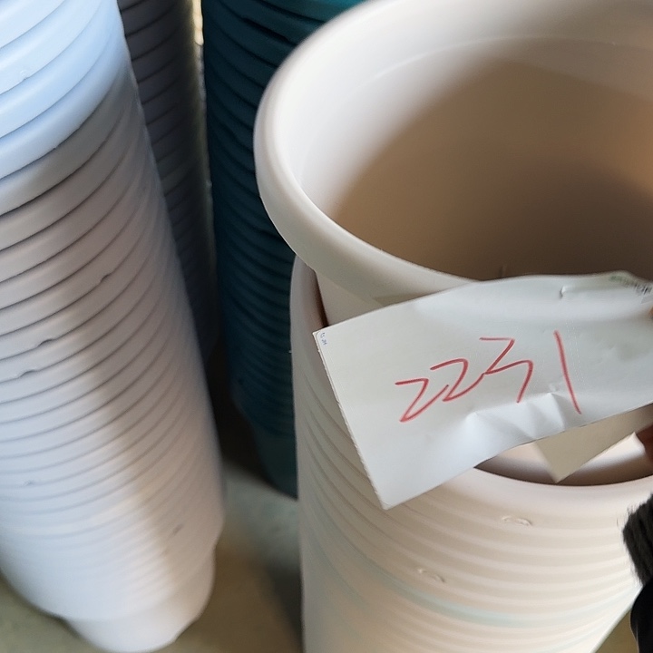 编号2231口29无托5个