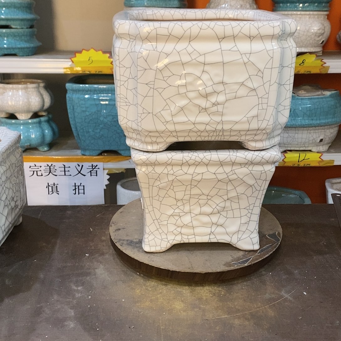 玩****智花盆花盆里的花都